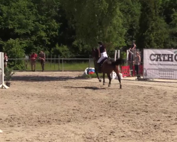 Höhr-Grenzhausen 2015