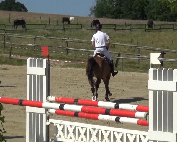Sommerturnier Lohmar-Hausdorp 2015