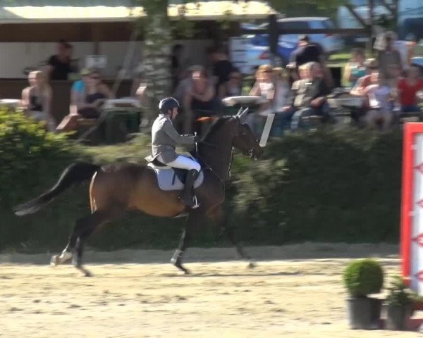 Sommerturnier Lohmar-Hausdorp 2015