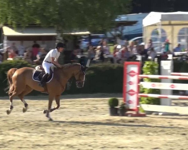 Sommerturnier Lohmar-Hausdorp 2015