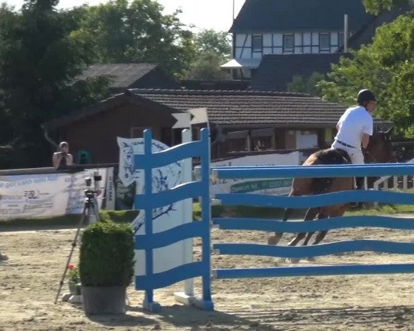 Sommerturnier Lohmar-Hausdorp 2015