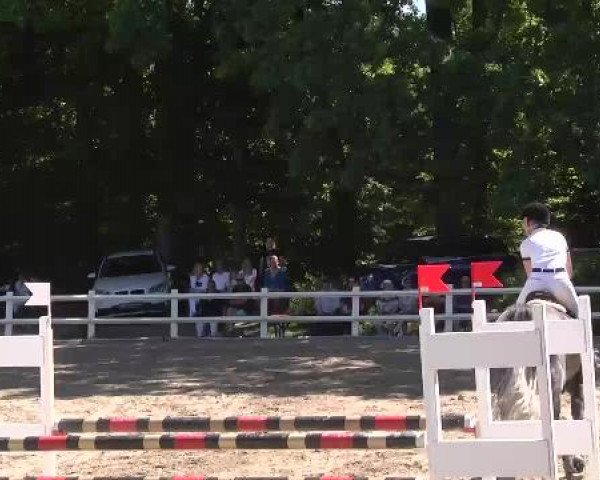 Reitturnier Nordstetten-Horb 2015