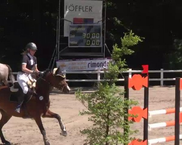 Reitturnier Nordstetten-Horb 2015