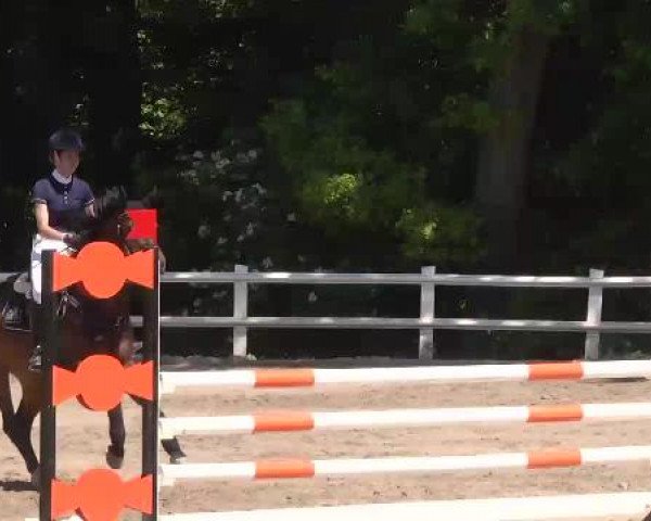 Reitturnier Nordstetten-Horb 2015
