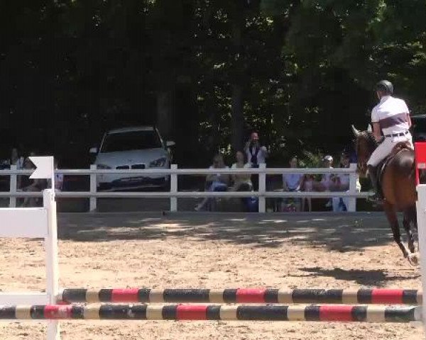 Reitturnier Nordstetten-Horb 2015