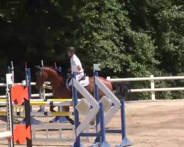 Reitturnier Nordstetten-Horb 2015