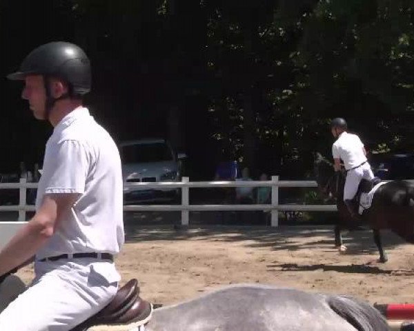 Reitturnier Nordstetten-Horb 2015