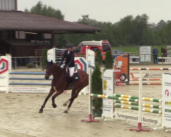 Zawody jeździeckie Appelhülsen 2026