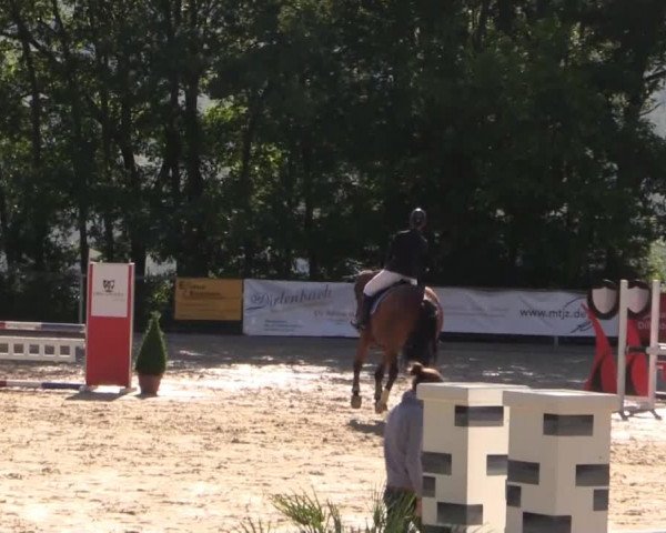 43. Drei-Länder-Challenge 2015