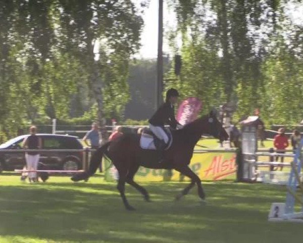 Großes Sommerturnier in Hille 2015