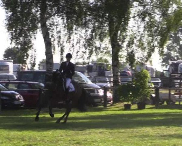 Großes Sommerturnier in Hille 2015