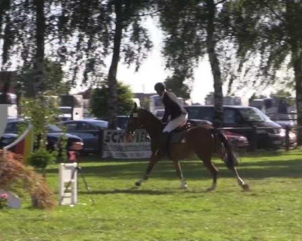 Großes Sommerturnier in Hille 2015
