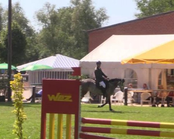 Großes Sommerturnier in Hille 2015