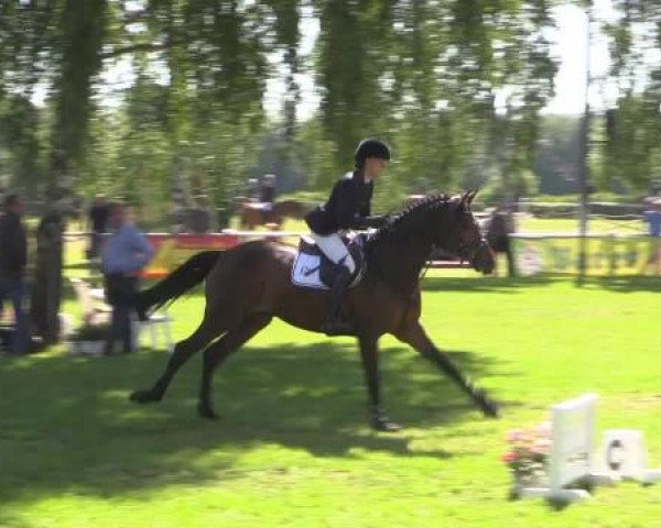 Großes Sommerturnier in Hille 2015