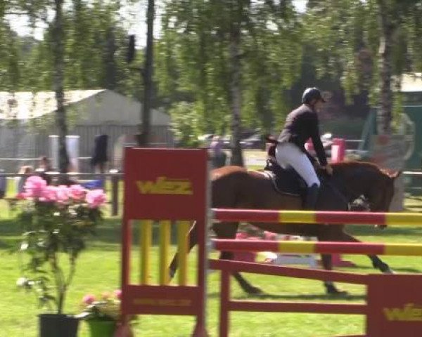 Großes Sommerturnier in Hille 2015