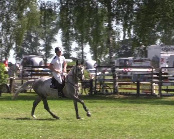 Großes Sommerturnier in Hille 2015
