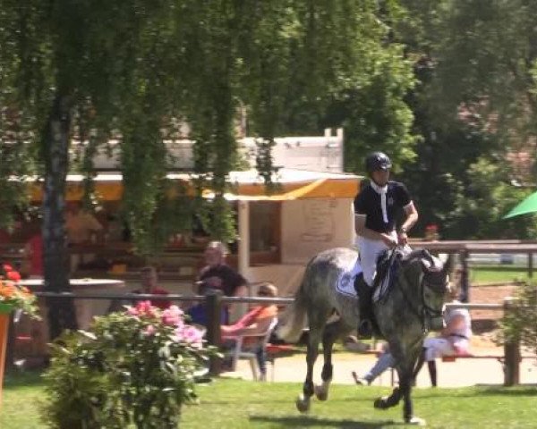 Großes Sommerturnier in Hille 2015