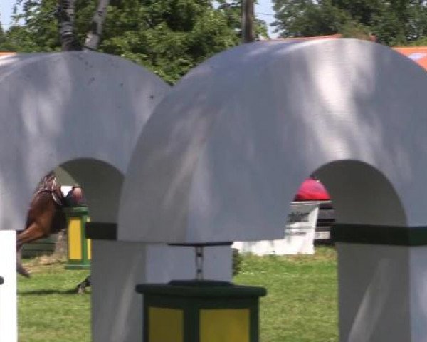 Großes Sommerturnier in Hille 2015