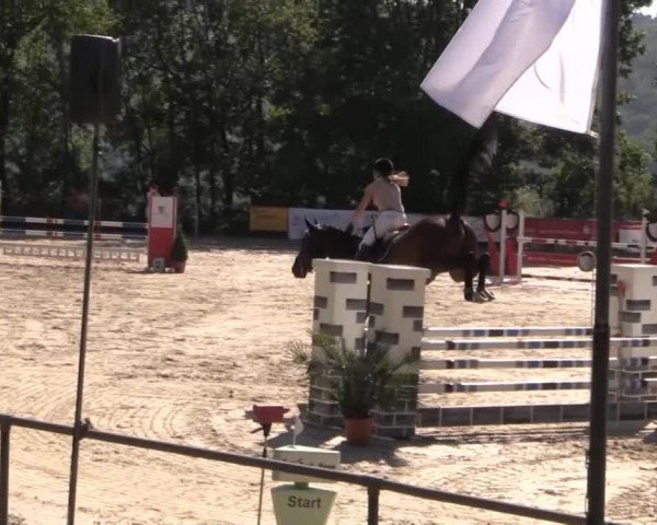 43. Drei-Länder-Challenge 2015