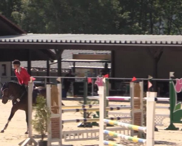 43. Drei-Länder-Challenge 2015