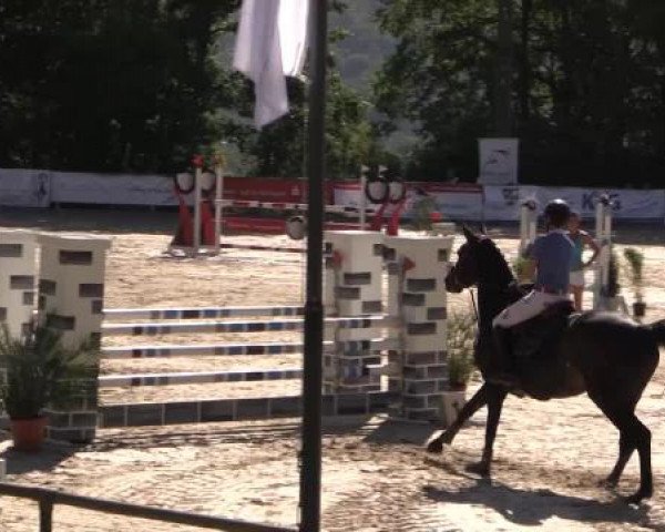 43. Drei-Länder-Challenge 2015