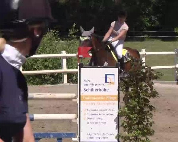 Reitturnier Nordstetten-Horb 2015