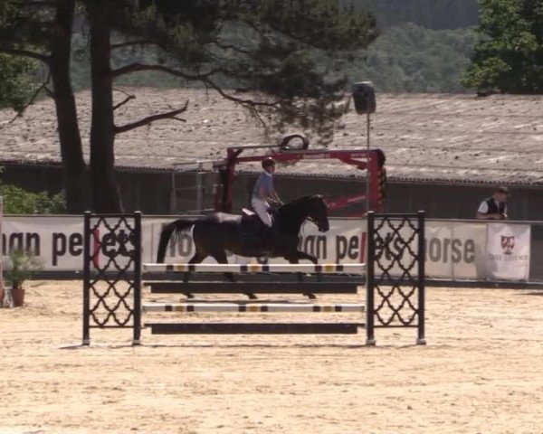 43. Drei-Länder-Challenge 2015