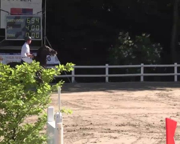 Reitturnier Nordstetten-Horb 2015