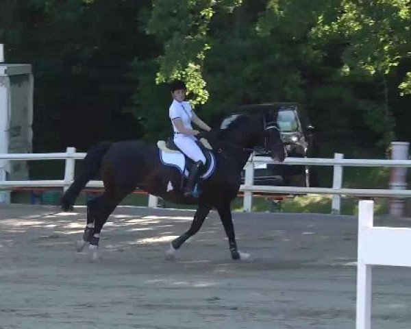 Reitturnier Nordstetten-Horb 2015
