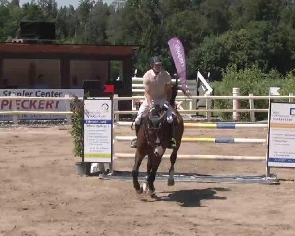 Reitturnier Nordstetten-Horb 2015