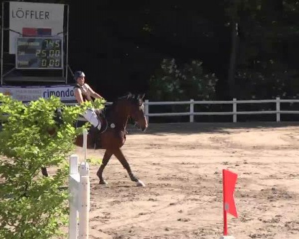Reitturnier Nordstetten-Horb 2015
