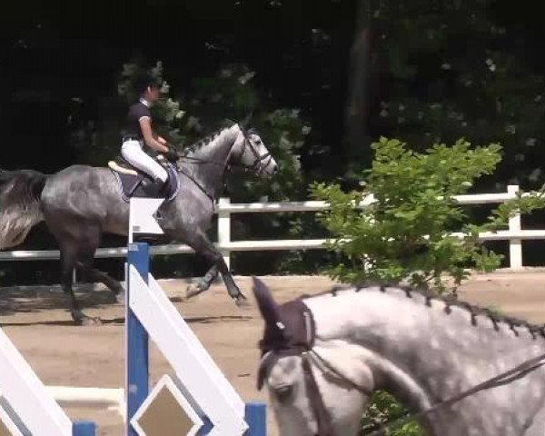 Reitturnier Nordstetten-Horb 2015