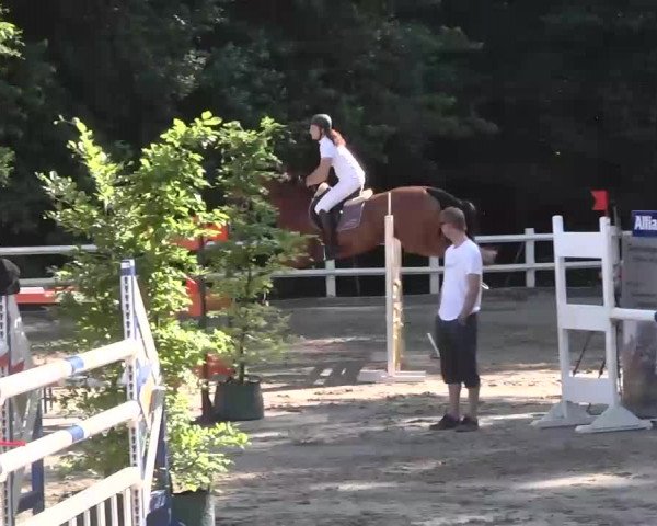 Reitturnier Nordstetten-Horb 2015