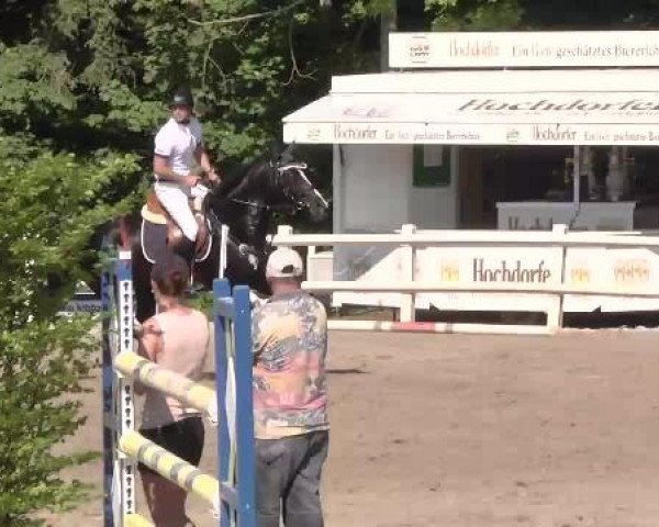 Reitturnier Nordstetten-Horb 2015