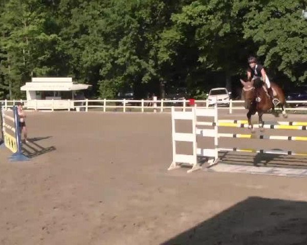 Reitturnier Nordstetten-Horb 2015