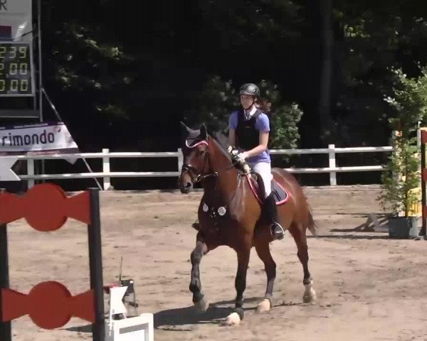 Reitturnier Nordstetten-Horb 2015