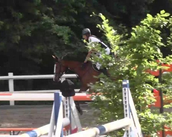 Reitturnier Nordstetten-Horb 2015