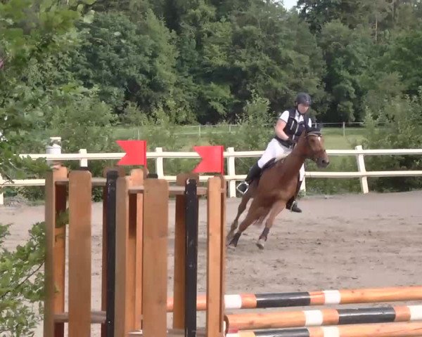 Reitturnier Nordstetten-Horb 2015