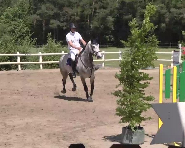 Reitturnier Nordstetten-Horb 2015