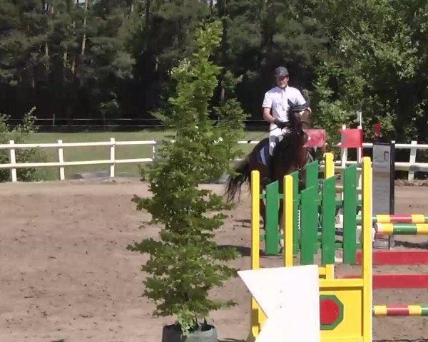 Reitturnier Nordstetten-Horb 2015