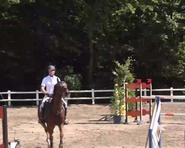 Reitturnier Nordstetten-Horb 2015