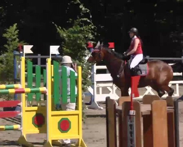 Reitturnier Nordstetten-Horb 2015