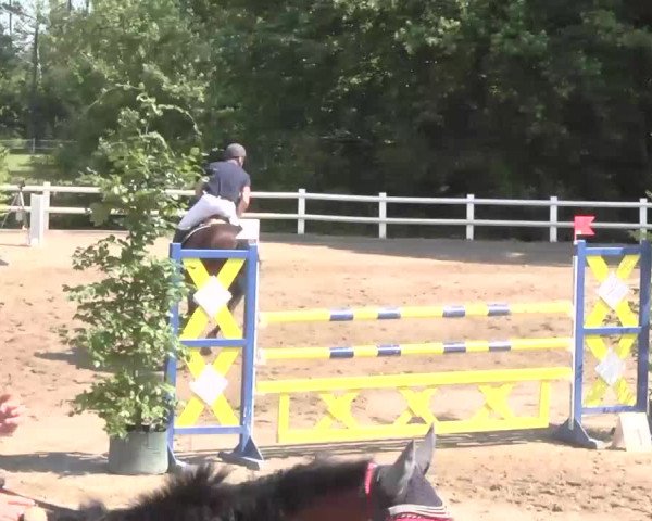 Reitturnier Nordstetten-Horb 2015
