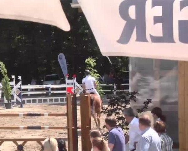 Reitturnier Nordstetten-Horb 2015