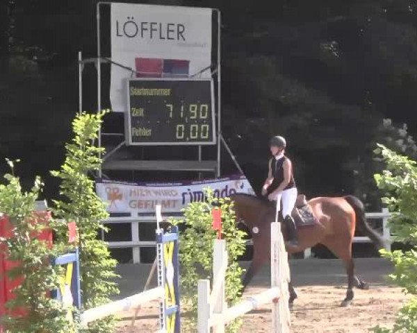 Reitturnier Nordstetten-Horb 2015