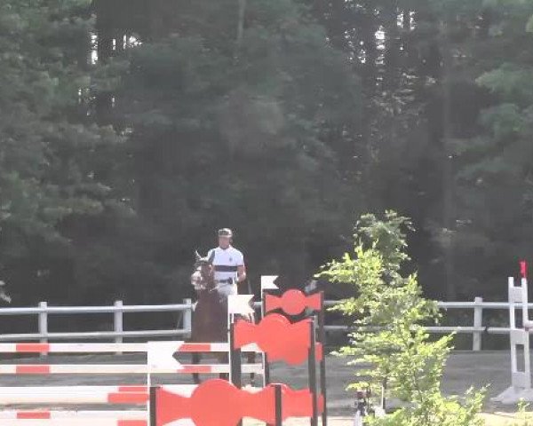 Reitturnier Nordstetten-Horb 2015