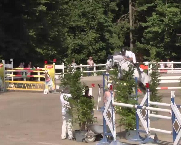 Reitturnier Nordstetten-Horb 2015