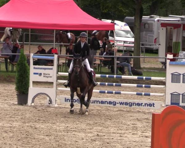 Ride turnering Lgl.-Oberhain, B95 2026