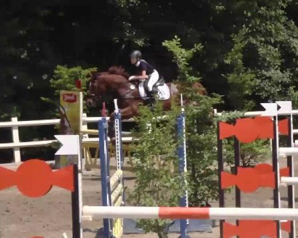 Reitturnier Nordstetten-Horb 2015