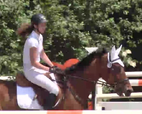 Reitturnier Nordstetten-Horb 2015